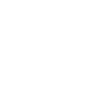 working capital loan